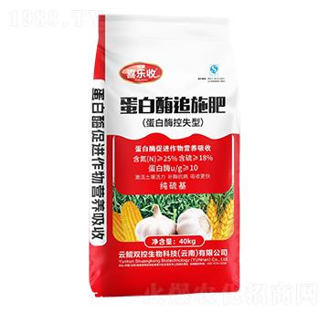 ����ø׷ʩ��-�t̫�(y��ng)