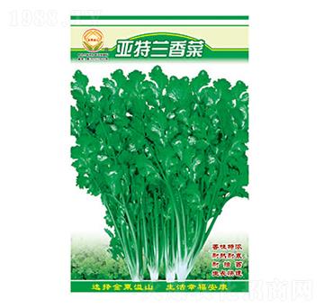 ��˷N��-���m���-̫���N�I(y��)