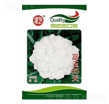 ���˷N��-����65��-���S�r(n��ng)�I(y��)