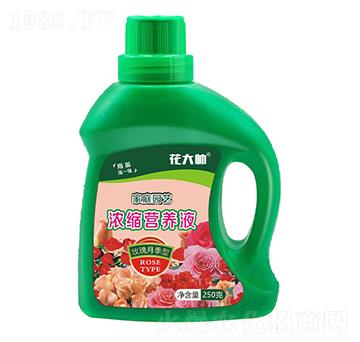 õ���¼��ͼ�ͥ�@ˇ��s�I(y��ng)�B(y��ng)Һ-����-�G�ַʘI(y��)