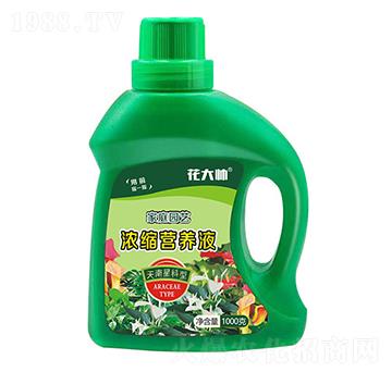 �����ǿ��ͼ�ͥ�@ˇ��s�I(y��ng)�B(y��ng)Һ-����-�G�ַʘI(y��)