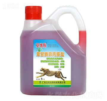 41%�ݸ�좮������}����s�ͣ�-�ݼ{˹-�V�|���r