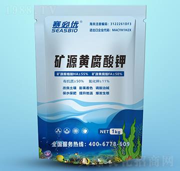 �VԴ�S�����-ِ�؃�(y��u)