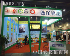 ����ʘI(y��)����ԭ�����p��������������