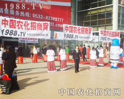 �r(n��ng)�����̾W(w��ng)��Ӱ�����������