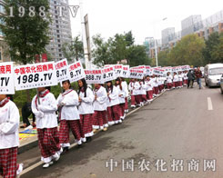 ����Ͷ��֮��֮�V��������