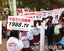 ���P��������]����������