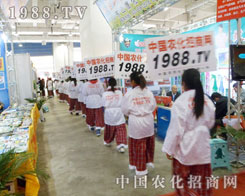 �p�Đ�Ŀ���r�����̾W����ʮ��