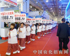 �e�۳ɹ��Ľ�(j��ng)�(y��n)��1988.TV��δ�팢������