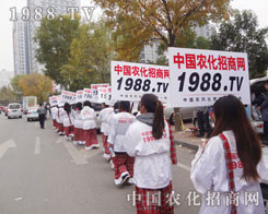 2012ɽ�|ֲ���p����Ҋ�C�r(n��ng)�����̾W(w��ng)���v�w