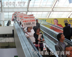 �r(n��ng)���W(w��ng)��(zh��n)ʿ�����p�����|����ƴ��һƬ�x�͵����