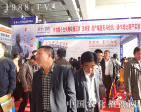 ����ֲ���������~��ֻ��Ч����������ţ�ďV��