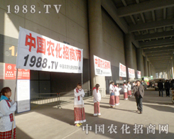 �r����28������ֲ�����������`��