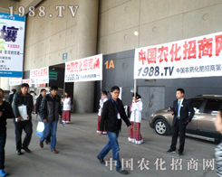 28��ֲ�����r�����̾W�F�ƴ������Ӱ