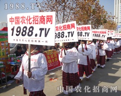 �{��ƴ���ğ������r(n��ng)���W(w��ng)��(zh��n)ʿ�_������һƬ���������