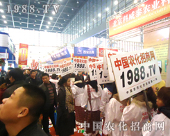 �r(n��ng)���W(w��ng)�����������K���m�L(f��ng)������������Ƅ�