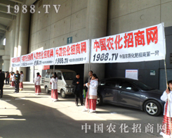 ��28��ֲ��������1988.TV�ٴ��ذ�����