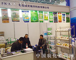 �L�`��ʮ�ˌú���ֲ���p����(hu��)�������ķ�