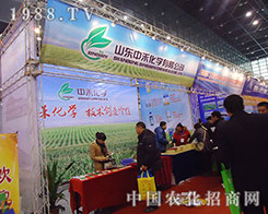 �к̻��W(xu��)�ڶ�ʮ�ˌú���ֲ���p������Ŭ������