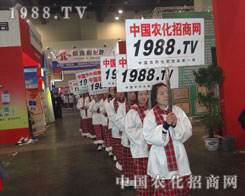 �������ԏ��߰�����������