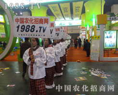 �L�L�Ļ��������