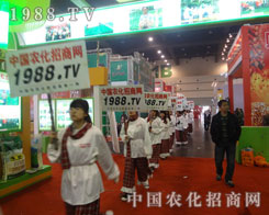 1988.TV�r(n��ng)�����̾W(w��ng)��׌���A������Ч����