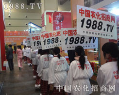 1988.TV��һ�����������������ИI(y��)���I(l��ng)�^܊