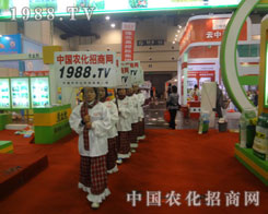 ���ݷ��ϕ�����Щ�ɐ۵�����