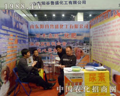 ��ʢ�����ذ��������ݷ���չ