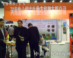 ���ݷ��Ͻ��ו��ϵ����⡪������������