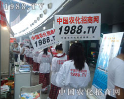 �K���m�L��o��2012���ݕ�