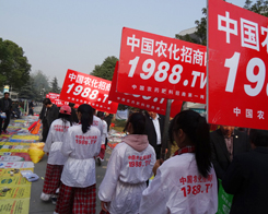 2013�׏�(f��)��չ�N���ϵ��r(n��ng)����(zh��n)ʿ