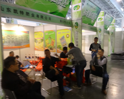 ɽ�|�P�طʘI(y��)������2013�׏�(f��)�ʕ�