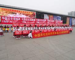 2013�׏�(f��)�ʕ�(hu��)���r(n��ng)���W(w��ng)��չ����