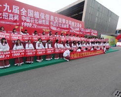 ��29��ֲ����(hu��)���r(n��ng)���W(w��ng)��(qi��ng)��(sh��)�w��