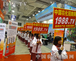 �r(n��ng)���W(w��ng)ͦ�M����ֲ����