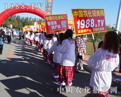 �r�����̾W��2014�L�����Ͻ��ו��Ϛ�����