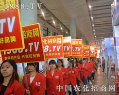 2015�Ϸ��r(n��ng)�Y��(hu��)�r(n��ng)�����̾W(w��ng)�c������(chu��ng)���̼ѿ�(j��)