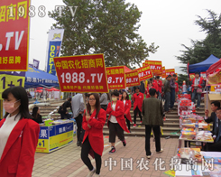 �r(n��ng)�����̾W(w��ng)�ٴγ���2015ɽ�|ֲ����