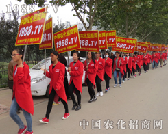 2015ɽ�|ֲ����1988�r���WС�������������