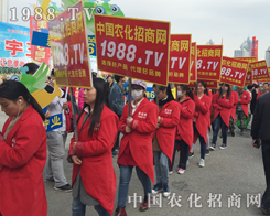 �r(n��ng)���W(w��ng)����꠳ɞ�2015�����r(n��ng)ˎչһ������