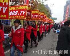 2015��ֲ���������������̃ɲ��`