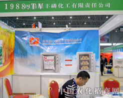 2015ֲ����(hu��)�τ��S�׻����Ե·���