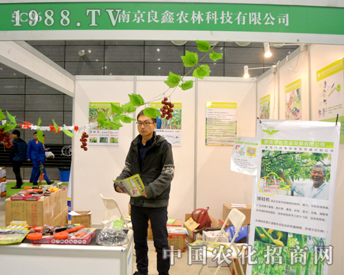 �Ͼ������Ԅ�(chu��ng)��վ��(w��n)�Ϸ�ֲ����(hu��)��