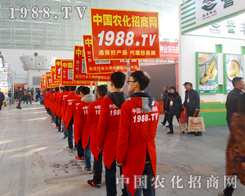 1988.TV�����ˆT�����w�P(y��ng)���������