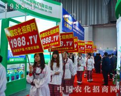 ��2015��12�������r(n��ng)�Y�����r(n��ng)����ȫ���Ը�