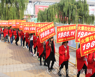 �r���������o�ڿ౼��2016����ֲ���p������