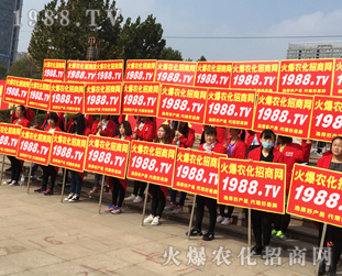 2016ɽ�|ֲ������1988.TV�����»���