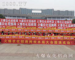 2016����ֲ���p������1988.TV������