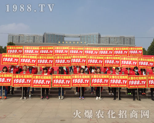 �r����Ӣ��2016ɽ�|ֲ�����ו�ȫ��ƴ����